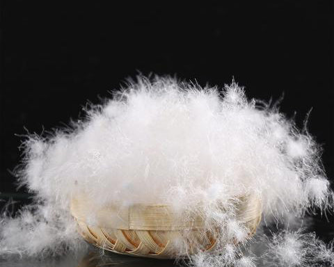 Siberian Goose Down Quilt