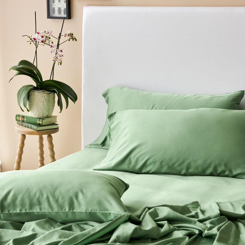 Bamboo Cotton King Pillowcase Pair - Apple