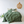 Load image into Gallery viewer, Cotton Jersey Duvet Cover - Avocado
